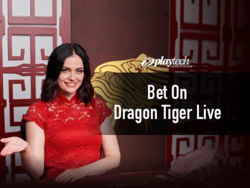 casinyeam online casino